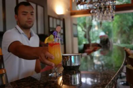 Mr. Dim Exclusive Apart - 29