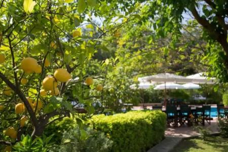 Mr. Dim Exclusive Apart - 102