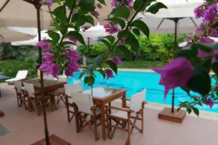 Mr. Dim Exclusive Apart - 93