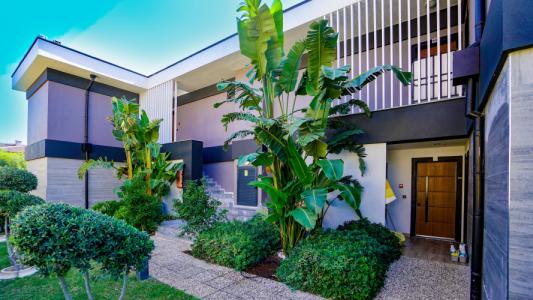 Istanbul Beach - 121