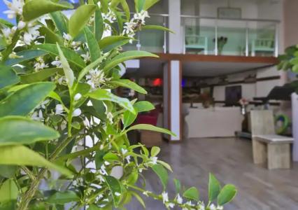 Sonne - Adults Only - 15