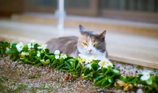 Sonne - Adults Only - 28