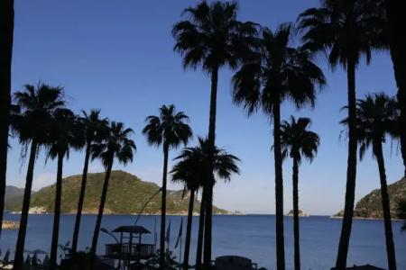 Quadas - Adults Only - 21