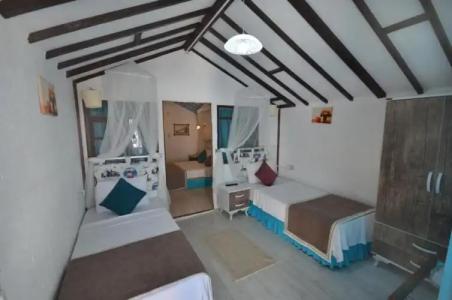 Blu Brezza Marine - 25