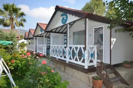 Blu Brezza Marine - 24