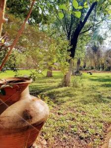 Doga Apartments - 31