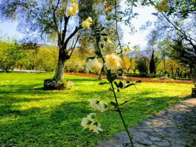 Doga Apartments - 37