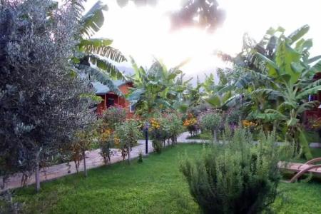 Estelar Bungalow - 47