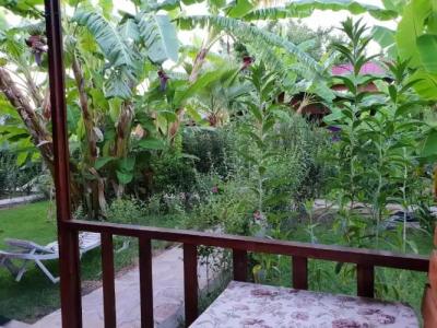 Estelar Bungalow - 59
