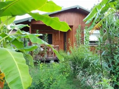 Estelar Bungalow - 52