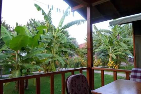 Estelar Bungalow - 62