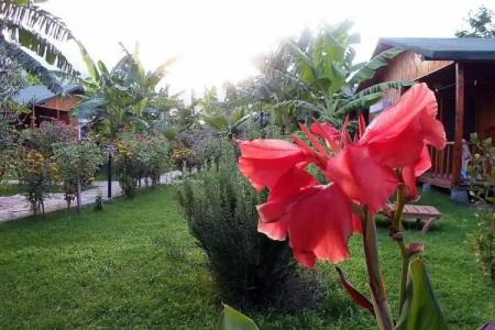 Estelar Bungalow - 45