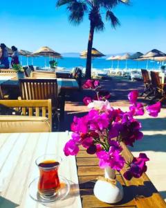 Toloman Bitez Beach - 43