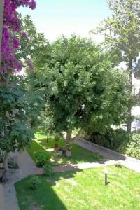 Toloman Bitez Beach - 70