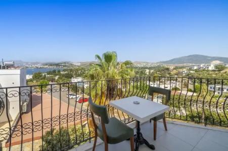 Queen Boutique - 135