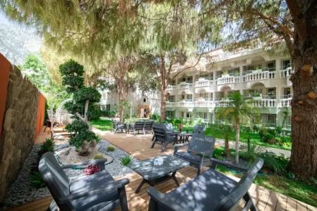 Rose Garden Premium - 51