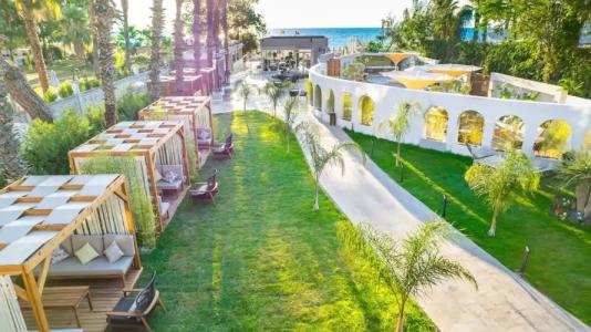 Rose Garden Premium - 63