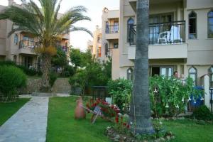 Adin Beach Hotel - Halal All Inclusive, Avsallar