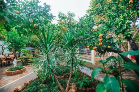 Hadrianus Boutique - 14