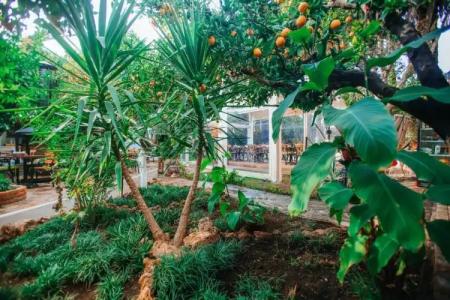 Hadrianus Boutique - 35