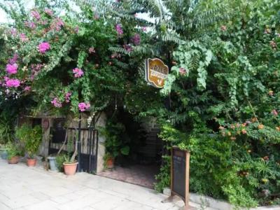 Lazer Pension - 10