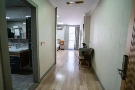 Lion City Kizilay - 58