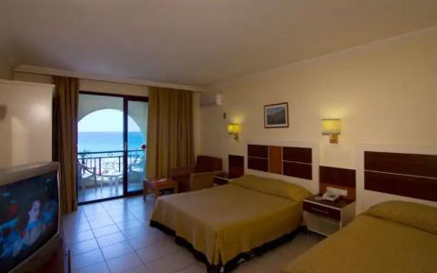 Kaila Krizantem - 100