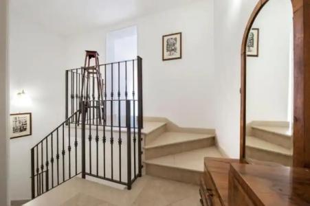 Esagono Monello - 36