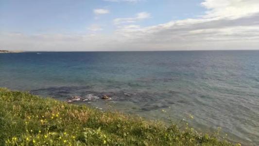 Esagono Monello - 89