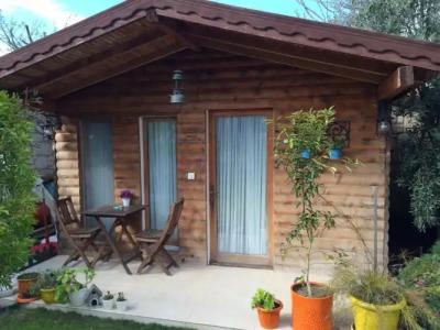 Alacati Kayezta - 15