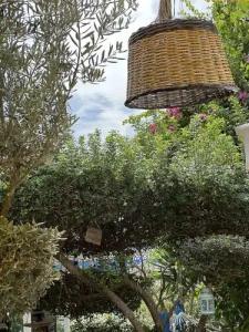 Alacati Kayezta - 32