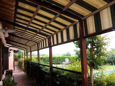 Il Borgo DellUlivo - 6