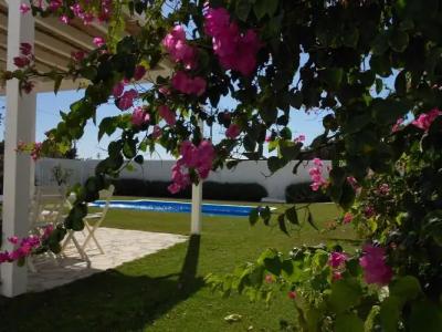 Zaena Alaçatı - 16