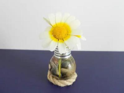 Zaena Alaçatı - 52