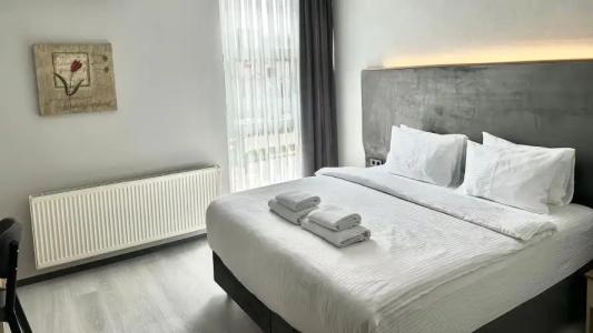 Altınova Sakarya - 47