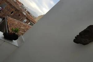 Fera O' Luni, Catania