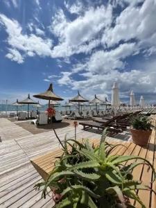 Conny's (Adult Only) +18 - 20