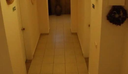 Conny's (Adult Only) +18 - 12