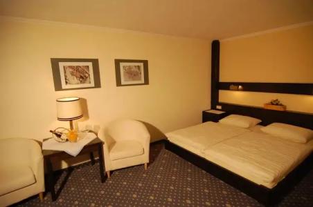 Goldener Hirsch - 16