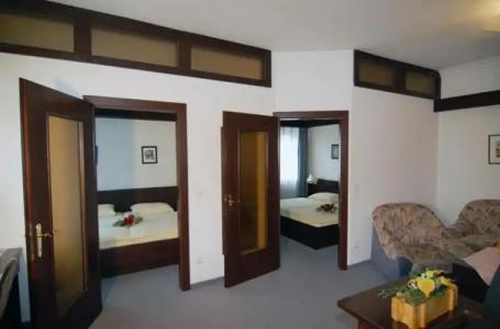 Goldener Hirsch - 13