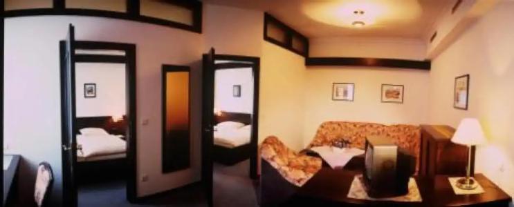 Goldener Hirsch - 14