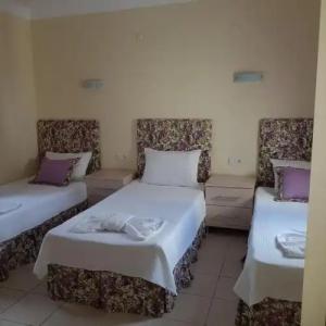 Canna Garden - Adults Only - 108