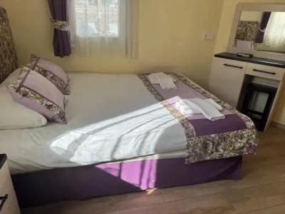 Canna Garden - Adults Only - 81