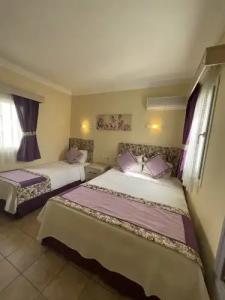 Canna Garden - Adults Only - 101