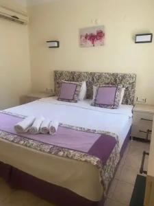 Canna Garden - Adults Only - 67