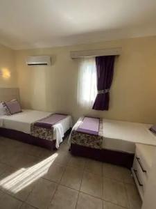 Canna Garden - Adults Only - 66