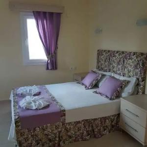 Canna Garden - Adults Only - 53