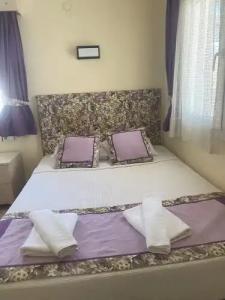 Canna Garden - Adults Only - 60