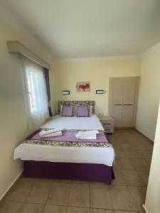 Canna Garden - Adults Only - 73