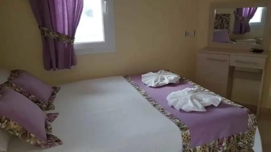 Canna Garden - Adults Only - 90